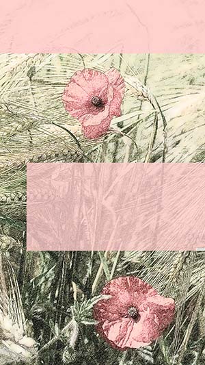 template für Instagram Story mit gezeichnetem Motiv von Blumen im Kornfeld.