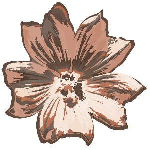 gezeichenete Malve in rosa