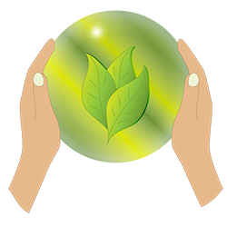 Hände halten eine grüne Glaskugel in der schöne Blätter sind.